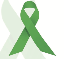 Ruban vert