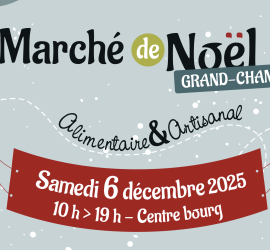 focus-marché de Noel 2025