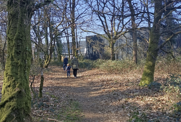 Sous-bois de la commune de Grand-Champ