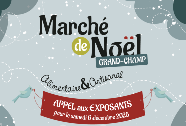 Appel aux exposants pour le marché de Noel 2025