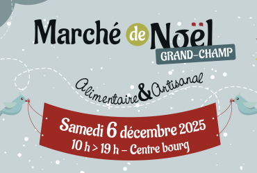 focus-marché de Noel 2025