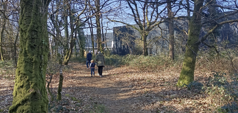 Sous-bois de la commune de Grand-Champ