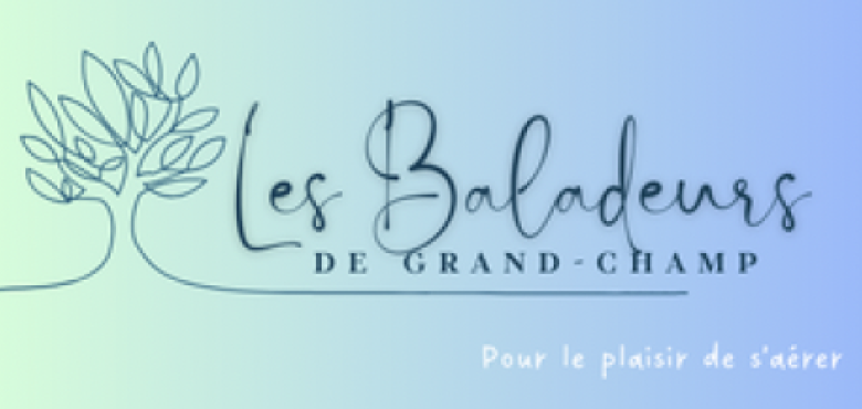 Les Baladeurs